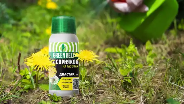 Гербицид «Диастар» относится к средствам избирательного действия и подавляет рост только двудольных сорняков.