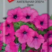 Петуния Ампельная Парпл