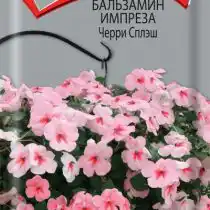 Бальзамин Импреза Черри Сплэш