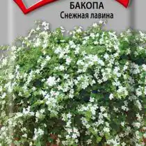 Бакопа Снежная лавина