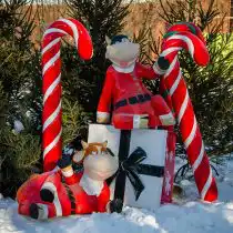 Забавные коровки приоделись на Новый Год