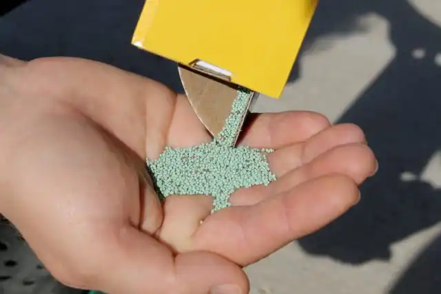 Очень важно изначально не сэкономить на семенах микроклевера