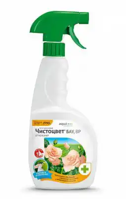 Чистоцвет БАУ