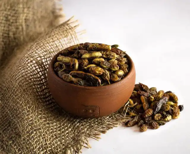 Из стручков софоры делают чудодейственную настойку