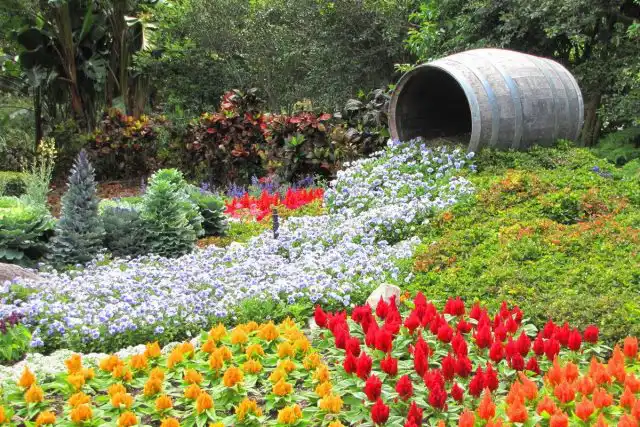 Цветочные ручьи часто привязывают к природным возвышенностям