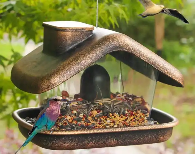 Смотрится пластиковая кормушка интересно, но удержаться на такой кормушке птицам, когда она раскачивается, проблематично. А ещё и есть необходимо.