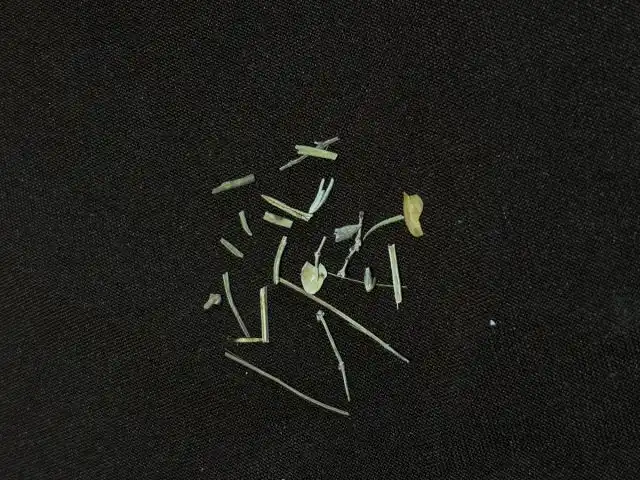 Обратите внимание, в сушеных сборах часто попадаются палочки, стебельки и веточки - их необходимо убрать вручную.