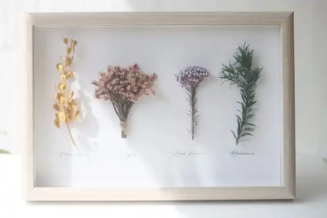 Очень интересно смотрятся композиции в стиле дневника ботаника