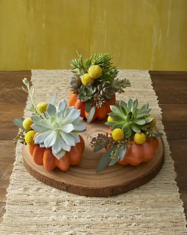 Керамические тыковки с суккулентами - настоящее осеннее чудо