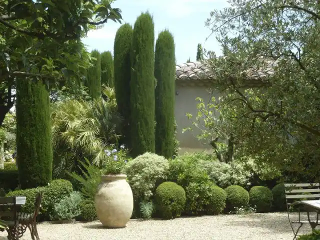 Кипарисы слишком теплолюбивы, но вы можете заменить их туями самых разных видов