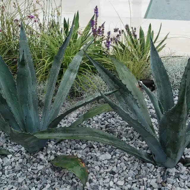 Контрастирование правильно подобранного гравия