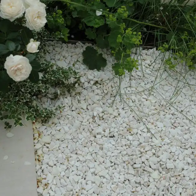 Белый гравий
