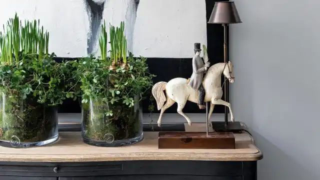 Маленький флорариум