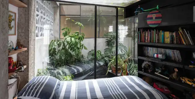 Маленькая оранжерея в отгороженном от комнаты пространстве