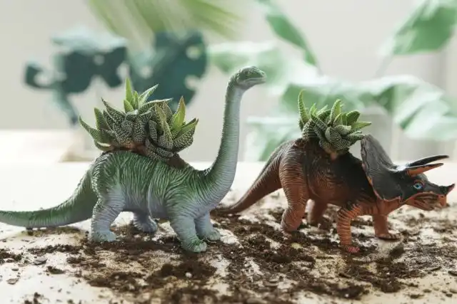 Динозаврики в броне из суккулента