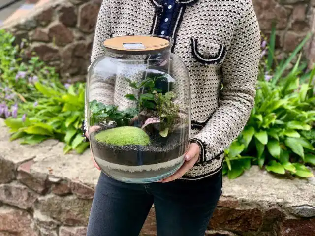 Флорариум в банке