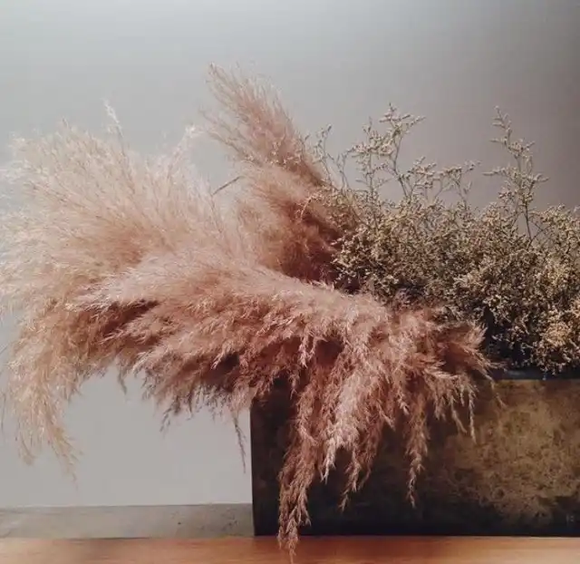 Декор с пампасной травой