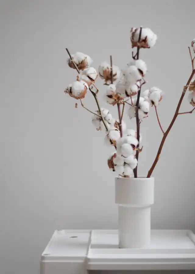 Букет из хлопка