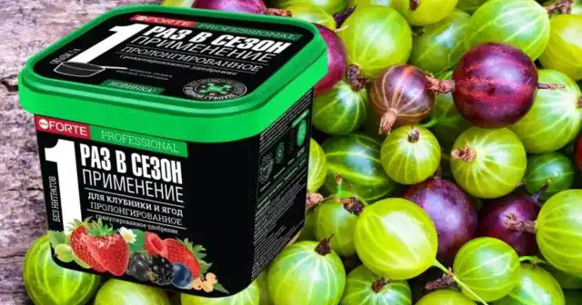 В рыхлой, водопроницаемой почве для подкормок крыжовника очень хорошо подходит пролонгированное удобрение Для клубники и ягод Bona Forte.