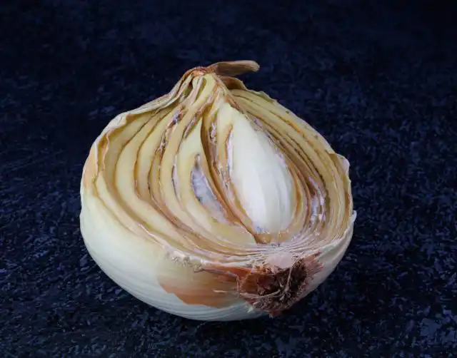 Луковицы и зубки гниют, предварительно размягчаясь и покрываясь белёсым пушком.