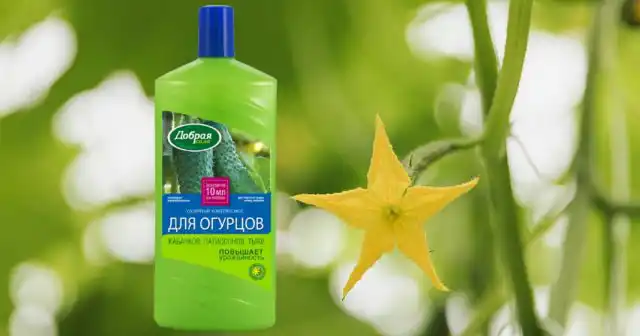 ОМУ Для огурцов, кабачков, патиссонов, тыкв Добрая сила не только восполнит запас бора, но и даст кустам необходимый запас макроэлементов и микроэлементов в хелатной форме.
