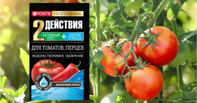 Добавьте в такую систему комплекс с аминокислотами Bona Forte для томатов и перцев (из расчёта 10 г на 10 л воды) и вы получите крепкие и здоровые растения.