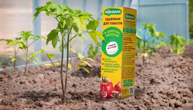 Шипучие таблетки «Агрикола» для подкормки томатов – это уникальный продукт на рынке удобрений.