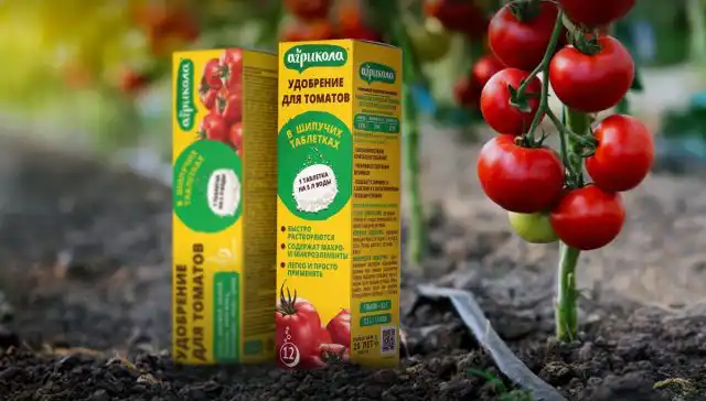 Никогда ещё подкормки томатов не были такими простыми, как с удобрением «Агрикола» в шипучих таблетках.