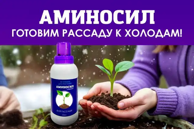 В первые дни после высадки важнейшую роль в адаптации растений играют аминокислоты и некоторые микроэлементы.