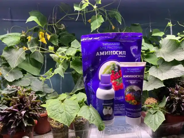 При высадке рассады рекомендуется вносить по 1–2 чайные ложки гранул под каждый сеянец, ориентируясь на размер растения.