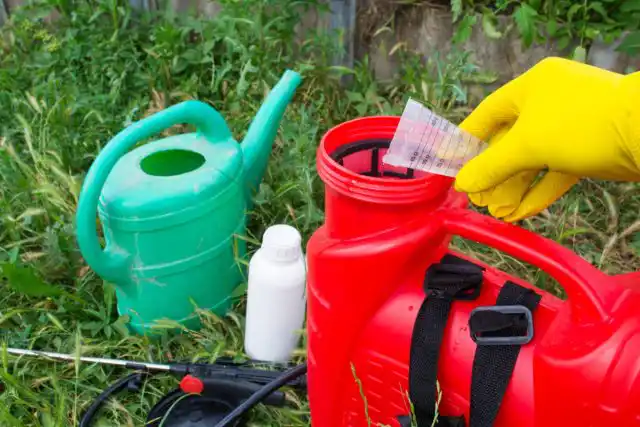 В состав ЭМ-препарата Биотехсоюза входят самые известные, нужные растениям и почве микроорганизмы – представители растительной стимулирующей микрофлоры.