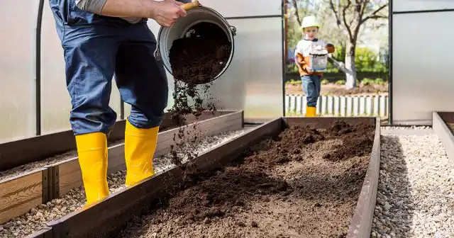 Если какие-то болезни стали в теплице хроническими, плюс ещё химический состав грунта оставляет желать лучшего, приходится поступать радикально – полностью менять плодородный слой на 25-30 см.