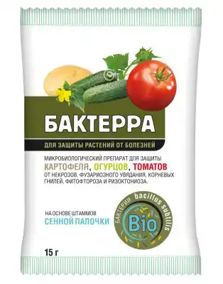 Прекрасно себя показывает Бактерра и в защите от болезней огурцов и томатов.