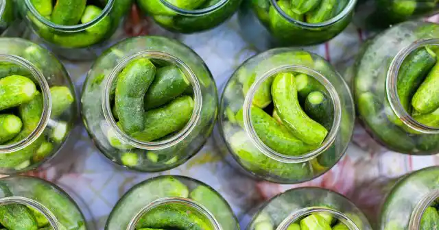 Но отдельные сорта максимально долго сохраняют подходящие для соления и маринования кондиции, причём формируют сразу много зеленцов.