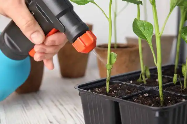 Если народные средства не помогли, и вредителей развелось слишком много, придётся использовать «тяжёлую артиллерию» – химические препараты.