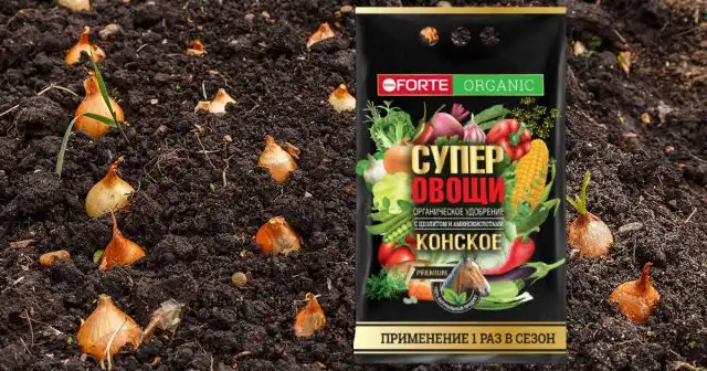 Внести органику желательно ещё с осени, но если вы не успели этого сделать, то просто воспользуйтесь удобрением Конское премиум Bona Forte с цеолитом и аминокислотами (200-400 г на квадратный метр).