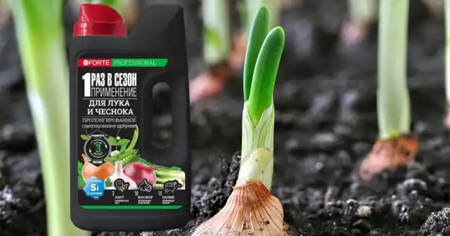 Можно подкормить лук и всего однажды, если взять удобрение Bona Forte для лука и чеснока в шейкере.
