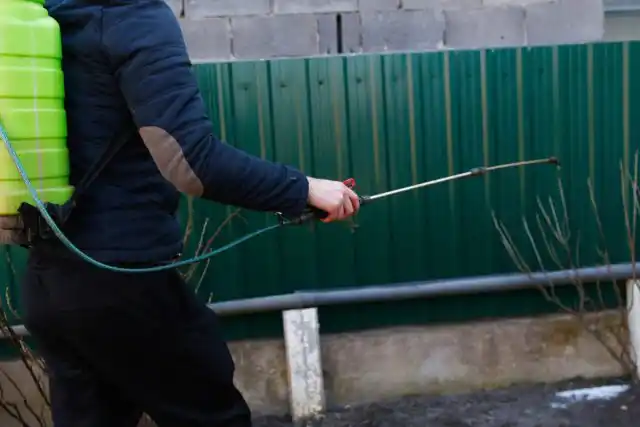 Положительный эффект от применения биологических акарицидов возможен, только если их использовать в тёплую погоду (оптимальная температура воздуха 18-25 °С).