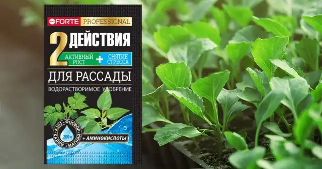 Подкармливают рассаду капусты первый раз в фазе 2-3 настоящих листьев. Для этого идеально подходит комплексное водорастворимое удобрение для рассады Bona Forte.