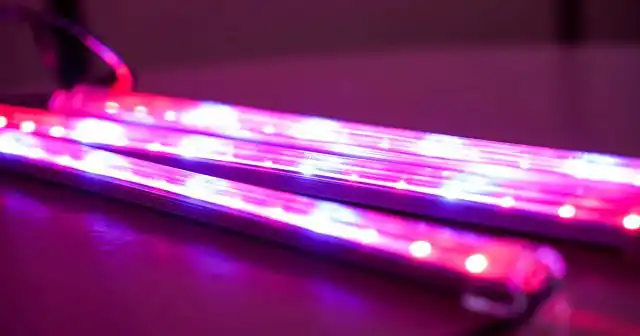 Вообще же, любая зелень любит длительное освещение – от 12-14 часов и более.