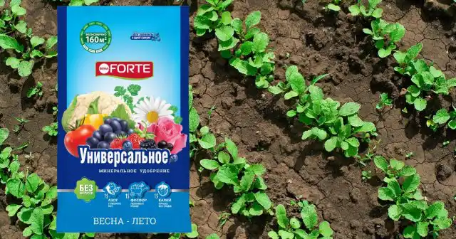 Удобрение Универсальное Bona Forte Весна-Лето.
