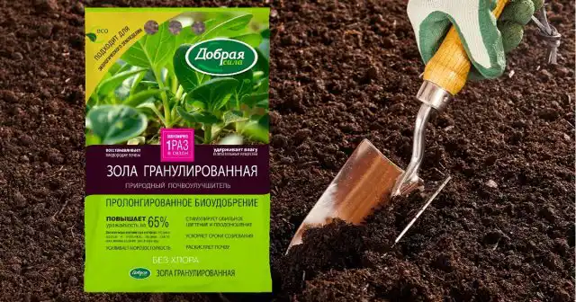 Перед перекопкой можно рассыпать по поверхности почвы гранулированную золу Добрая сила