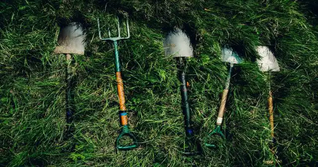 Садовий інвентар: 7 головних