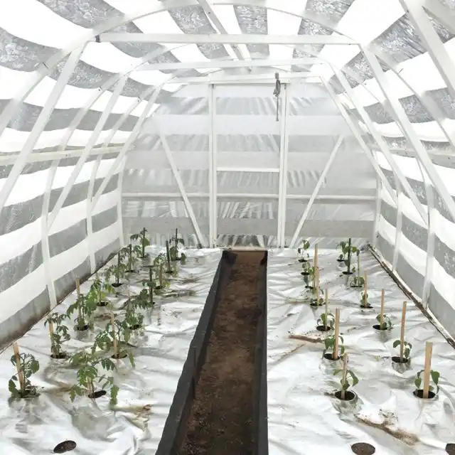 Благодаря фольгированным материалам перцы и баклажаны всходят раньше обычного и получаются более развитыми