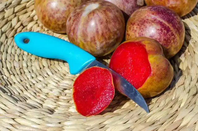 Последующее поколение гибридов слив и абрикосов, в которых выше доля сливы, называется плуотами