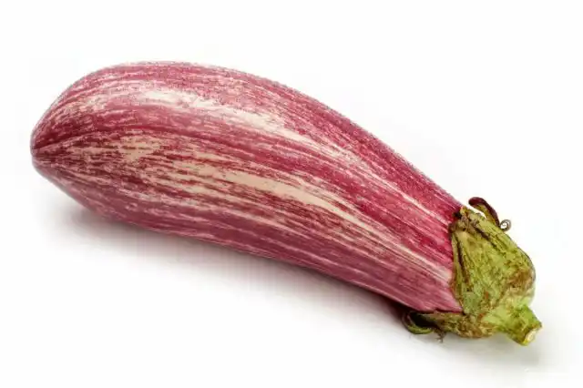 Среднеспелый сорт баклажанов «Полосатый рейс» фиолетового цвета с частыми белыми полосками