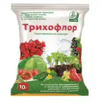 Для превентивного подавления патогенной микрофлоры проведите профилактическую обработку грунта фунгицидными биопрепаратом «Трихофлором»