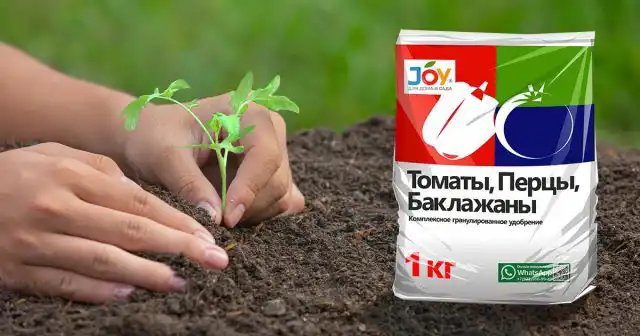 Благодаря комплексному удобрению JOY «Томаты, перцы, баклажаны» ваши томаты получат запас основных элементов для роста – фосфора, калия и азота в идеальной пропорции