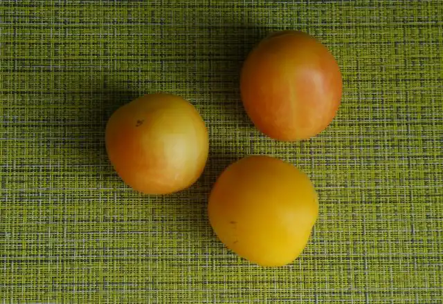 В томате «Абрикосовый джем» мне понравилось абсолютно все: нежный вкус, нарядный вид, урожайность и неприхотливость