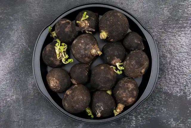 Чёрная редька была самой распространённой культурой на Руси в течение многих веков